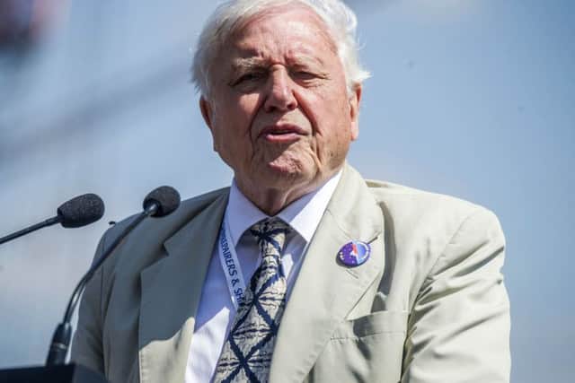 BBC stalwart David Attenborough helped put plastic pollution at the top of the agenda (Picture: Peter Byrne/PA Wire)