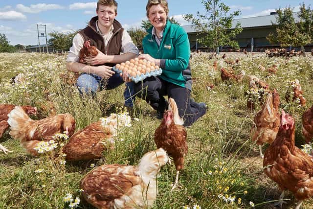 Morrisons to sell only free-range eggs   picture: supplied