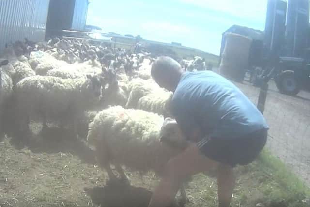 William Brown pleaded guilty to animal abuse at the farm near Penicuik. Pic: PETA/ SSPCA