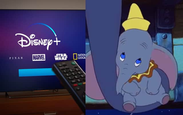  Dumbo, Peter Pan and The Aristocats have been removed from the children's section of the streaming service (Photo: Shutterstock/Disney)